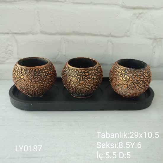 LY0187 SUKULENT SAKSI TABAKLI SET