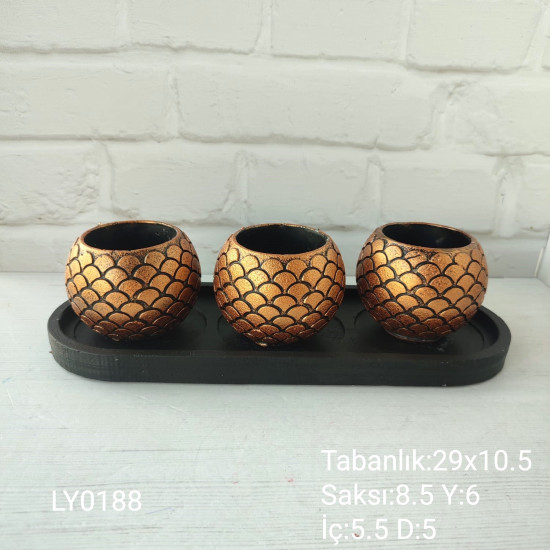 LY0188 SUKULENT SAKSI TABAKLI SET