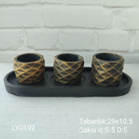 LY0192 SUKULENT SAKSI SET TABAKLI