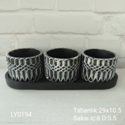 LY0194 SUKULENT SAKSI SET TABAKLI